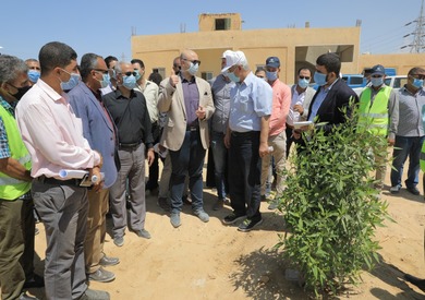 محافظ بني سويف